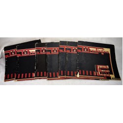 Frank Lloyd Wright: The Life-Work of the American Architect (7 volumes)